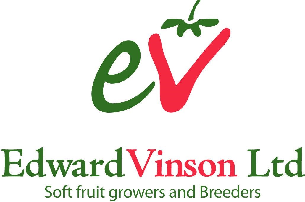Edward Vinson logo